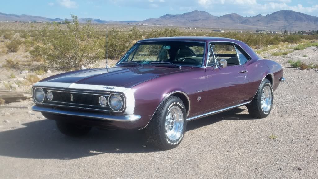 royal plum paint code Team Camaro Tech